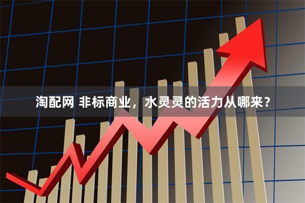淘配网 非标商业，水灵灵的活力从哪来？
