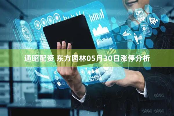 通昭配资 东方园林05月30日涨停分析