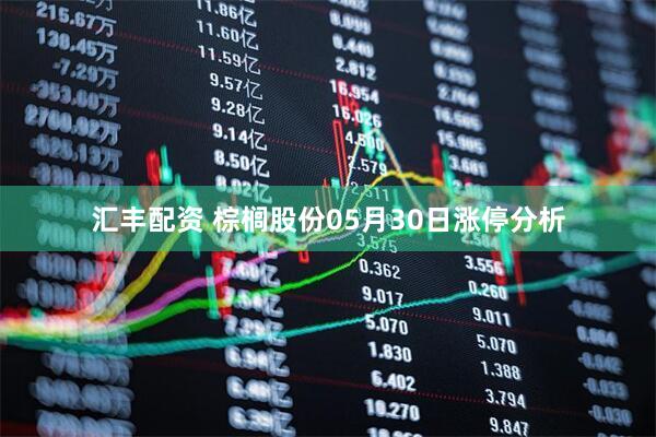汇丰配资 棕榈股份05月30日涨停分析