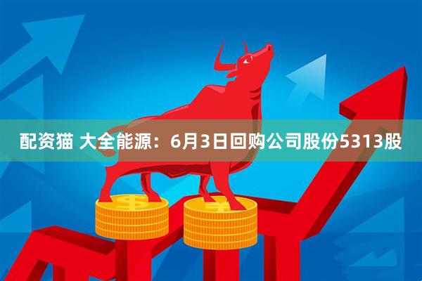 配资猫 大全能源：6月3日回购公司股份5313股