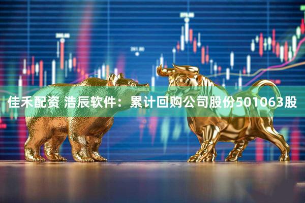 佳禾配资 浩辰软件：累计回购公司股份501063股