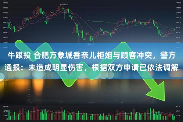 牛跟投 合肥万象城香奈儿柜姐与顾客冲突，警方通报：未造成明显伤害，根据双方申请已依法调解
