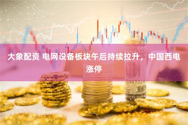 大象配资 电网设备板块午后持续拉升，中国西电涨停