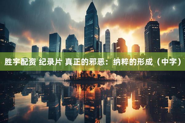 胜宇配资 纪录片 真正的邪恶：纳粹的形成（中字）