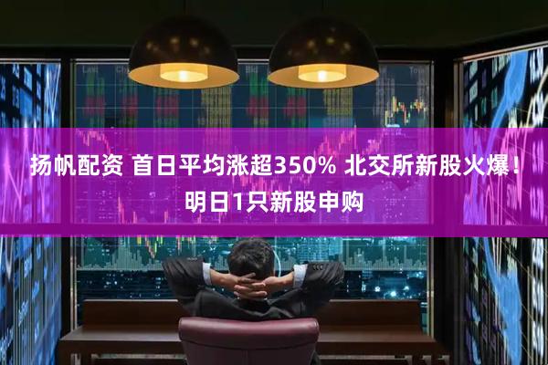 扬帆配资 首日平均涨超350% 北交所新股火爆！明日1只新股申购