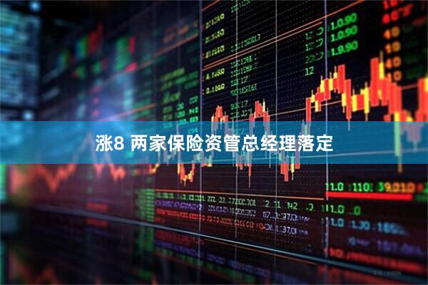 涨8 两家保险资管总经理落定