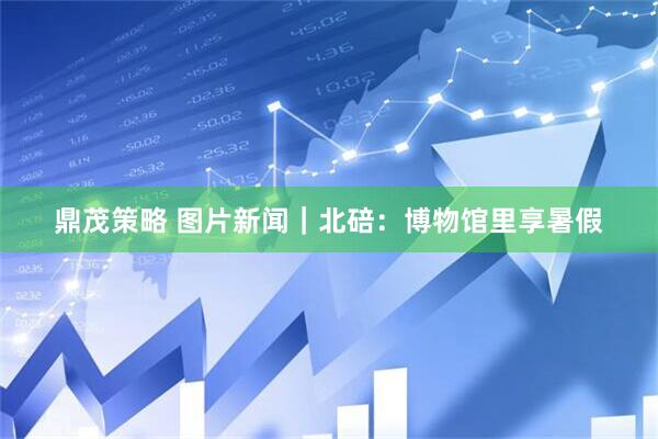 鼎茂策略 图片新闻｜北碚：博物馆里享暑假